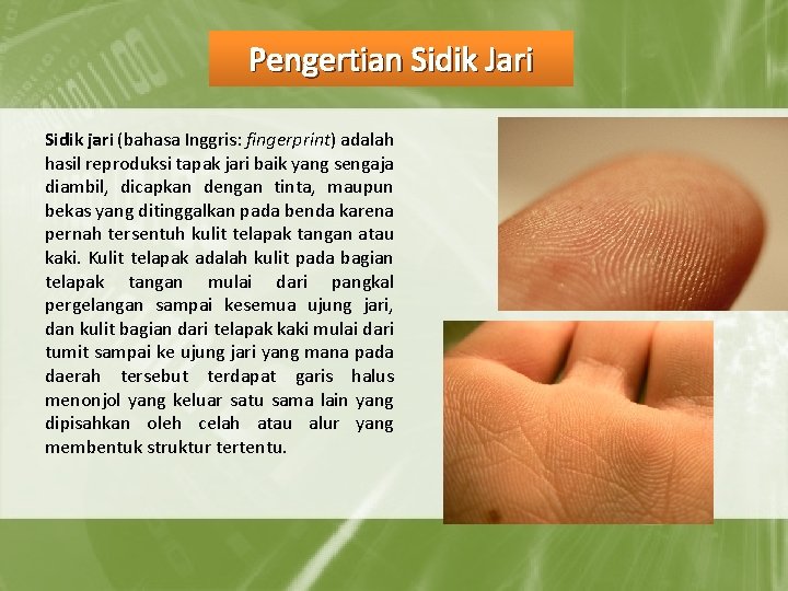 Pengertian Sidik Jari Sidik jari (bahasa Inggris: fingerprint) adalah hasil reproduksi tapak jari baik