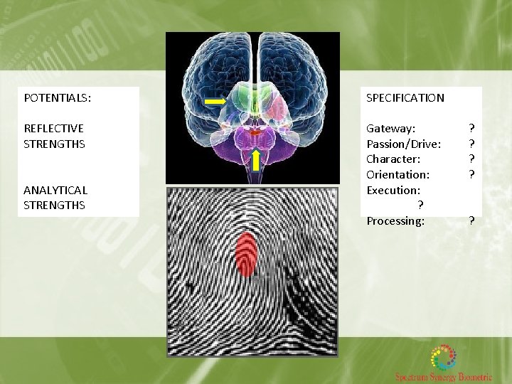 POTENTIALS: SPECIFICATION REFLECTIVE STRENGTHS Gateway: Passion/Drive: Character: Orientation: Execution: ? Processing: ANALYTICAL STRENGTHS ?
