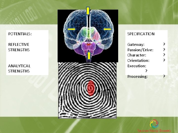 POTENTIALS: SPECIFICATION REFLECTIVE STRENGTHS Gateway: Passion/Drive: Character: Orientation: Execution: ? Processing: ANALYTICAL STRENGTHS ?