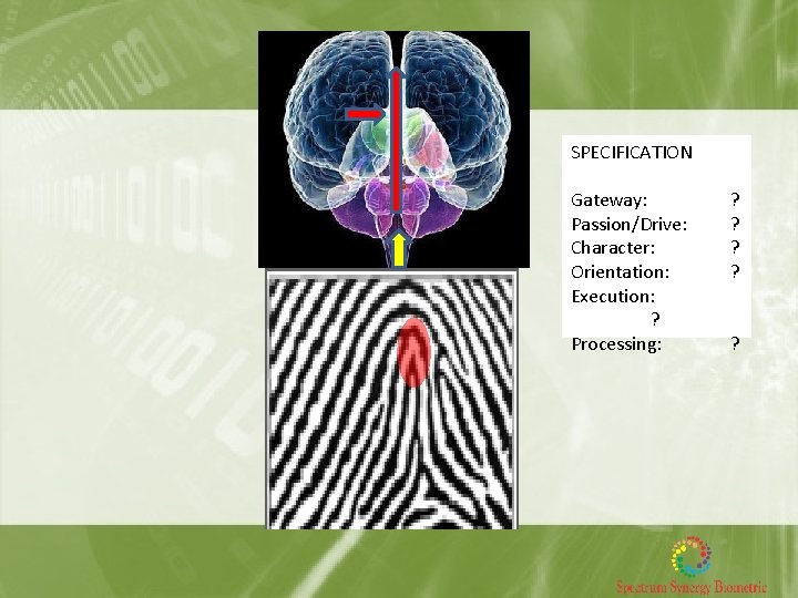 SPECIFICATION Gateway: Passion/Drive: Character: Orientation: Execution: ? Processing: ? ? ? 