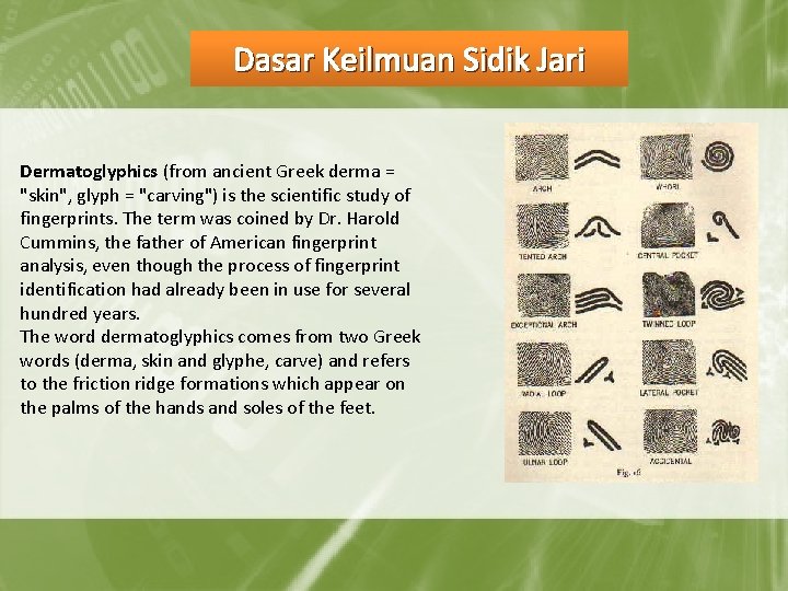 Dasar Keilmuan Sidik Jari Dermatoglyphics (from ancient Greek derma = "skin", glyph = "carving")