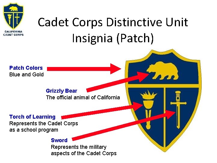 Cadet Corps Distinctive Unit Insignia (Patch) Patch Colors Blue and Gold Grizzly Bear The