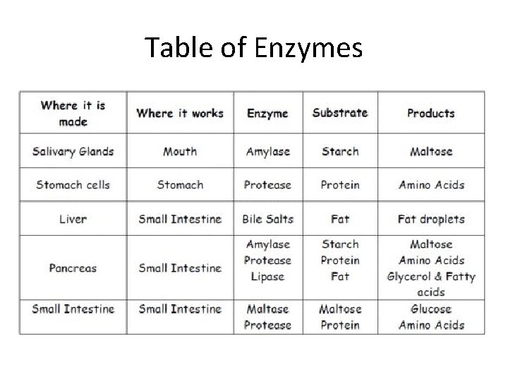 Table of Enzymes 