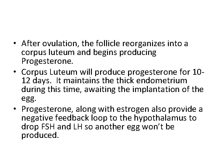  • After ovulation, the follicle reorganizes into a corpus luteum and begins producing