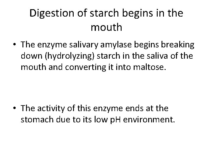 Digestion of starch begins in the mouth • The enzyme salivary amylase begins breaking
