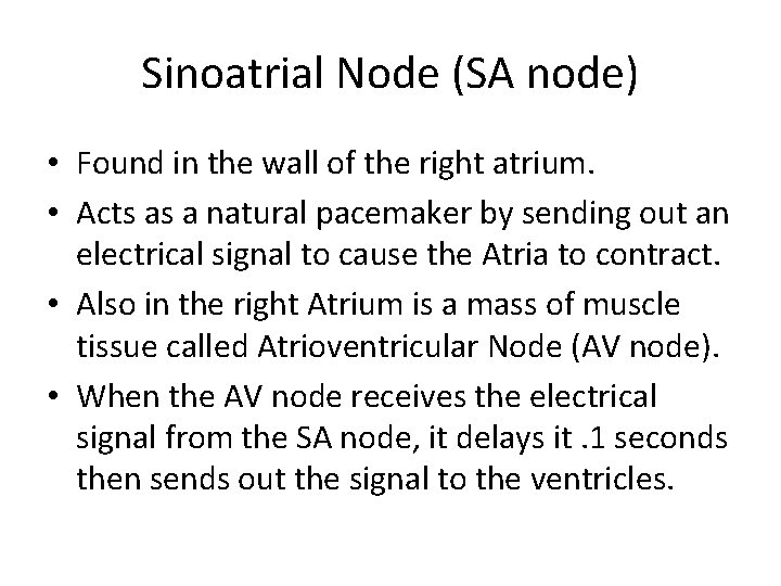Sinoatrial Node (SA node) • Found in the wall of the right atrium. •