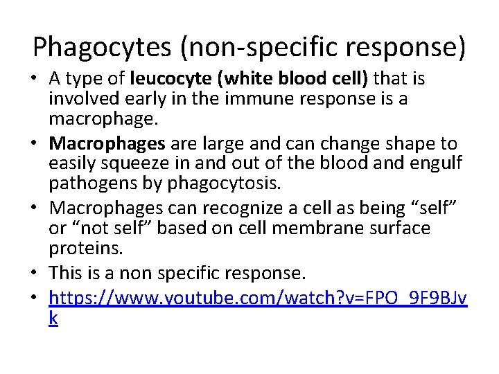 Phagocytes (non-specific response) • A type of leucocyte (white blood cell) that is involved
