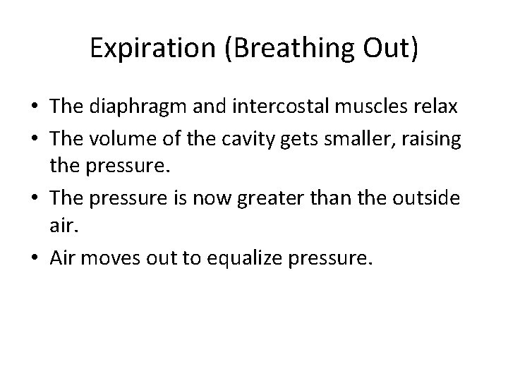 Expiration (Breathing Out) • The diaphragm and intercostal muscles relax • The volume of