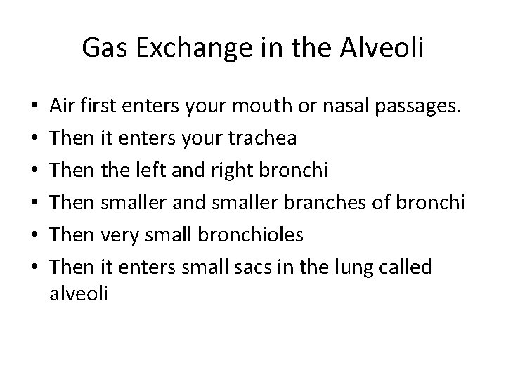 Gas Exchange in the Alveoli • • • Air first enters your mouth or