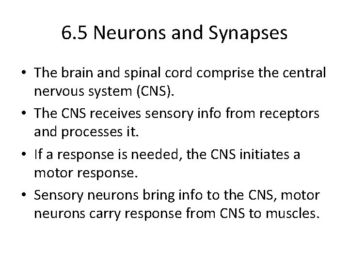 6. 5 Neurons and Synapses • The brain and spinal cord comprise the central