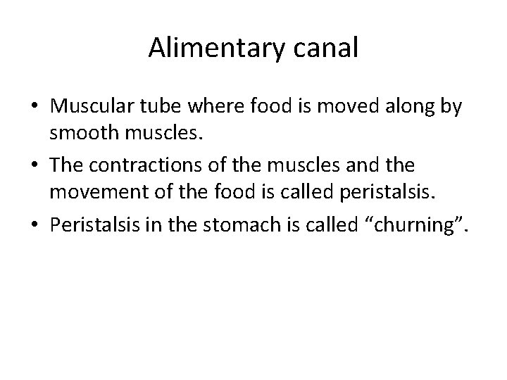 Alimentary canal • Muscular tube where food is moved along by smooth muscles. •