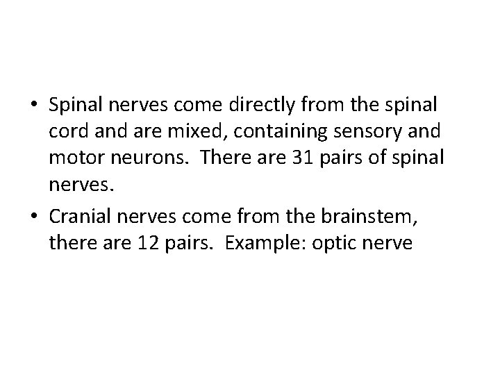  • Spinal nerves come directly from the spinal cord and are mixed, containing