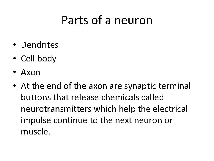 Parts of a neuron • • Dendrites Cell body Axon At the end of