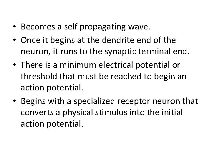  • Becomes a self propagating wave. • Once it begins at the dendrite