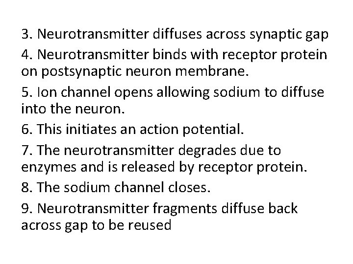 3. Neurotransmitter diffuses across synaptic gap 4. Neurotransmitter binds with receptor protein on postsynaptic