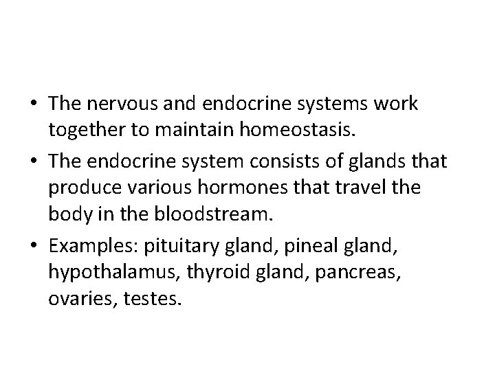  • The nervous and endocrine systems work together to maintain homeostasis. • The