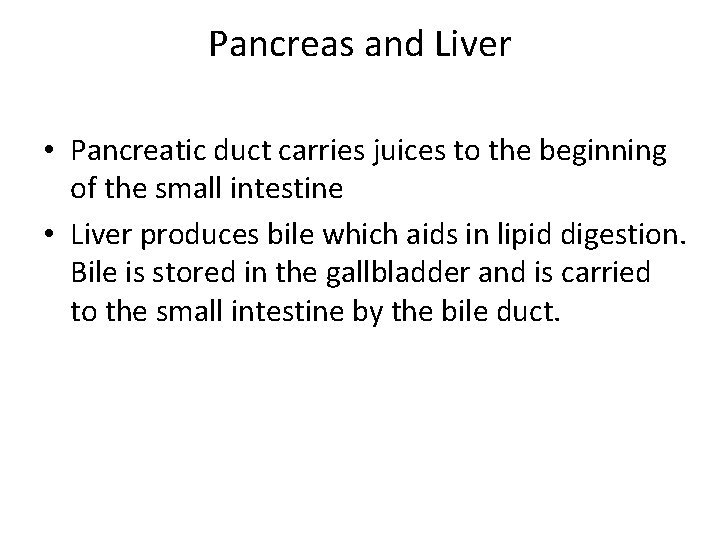 Pancreas and Liver • Pancreatic duct carries juices to the beginning of the small