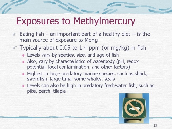 Exposures to Methylmercury Eating fish – an important part of a healthy diet --