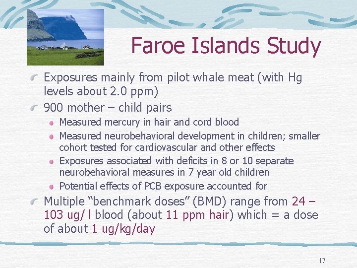 Faroe Islands Study Exposures mainly from pilot whale meat (with Hg levels about 2.