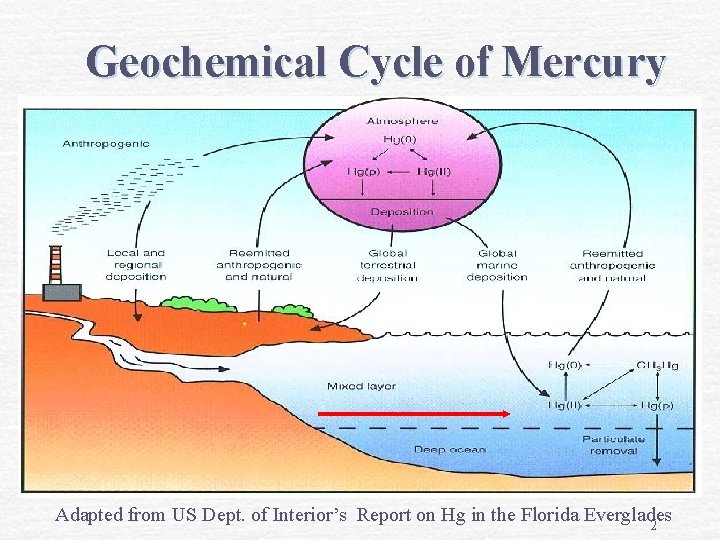 Geochemical Cycle of Mercury Adapted from US Dept. of Interior’s Report on Hg in