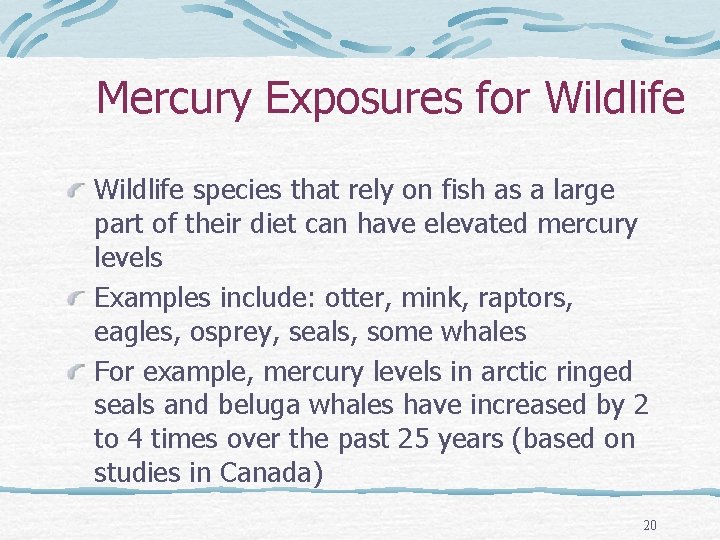 Mercury Exposures for Wildlife species that rely on fish as a large part of