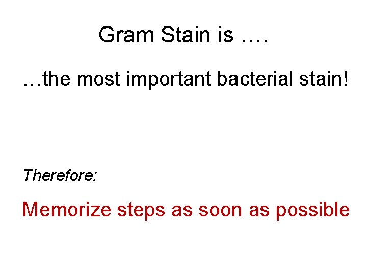 Gram Stain is …. …the most important bacterial stain! Therefore: Memorize steps as soon