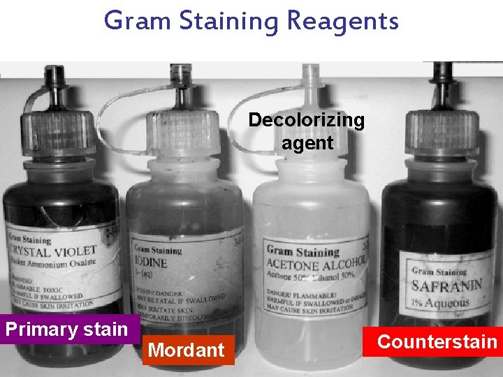 Gram Staining Reagents Decolorizing agent Primary stain Mordant Counterstain 