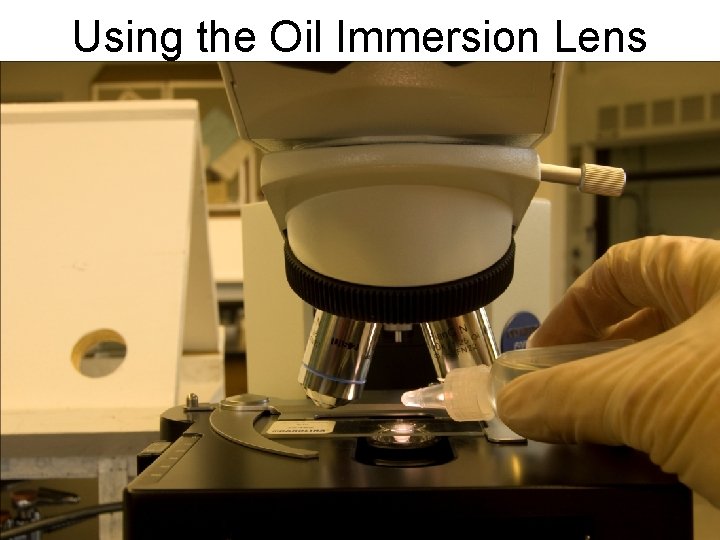 Using the Oil Immersion Lens 