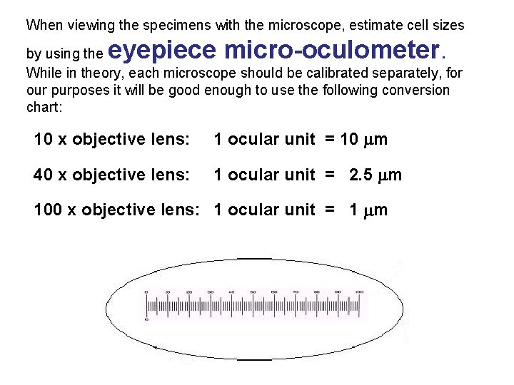 When viewing the specimens with the microscope, estimate cell sizes eyepiece micro-oculometer. by using