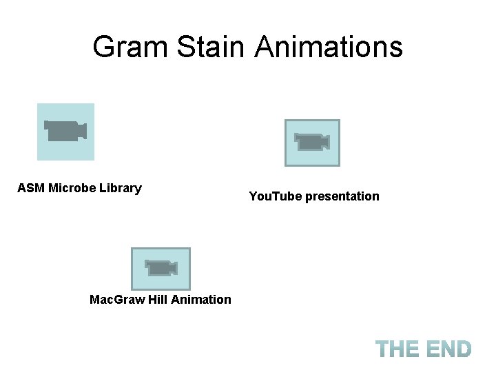 Gram Stain Animations ASM Microbe Library Mac. Graw Hill Animation You. Tube presentation 