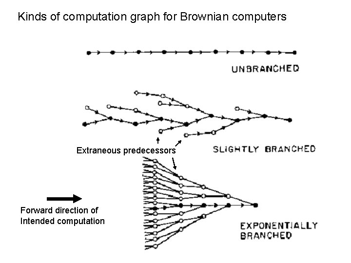 Kinds of computation graph for Brownian computers Extraneous predecessors Forward direction of Intended computation