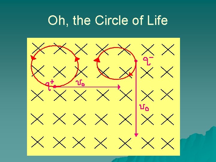 Oh, the Circle of Life Oh, the Circle of Life