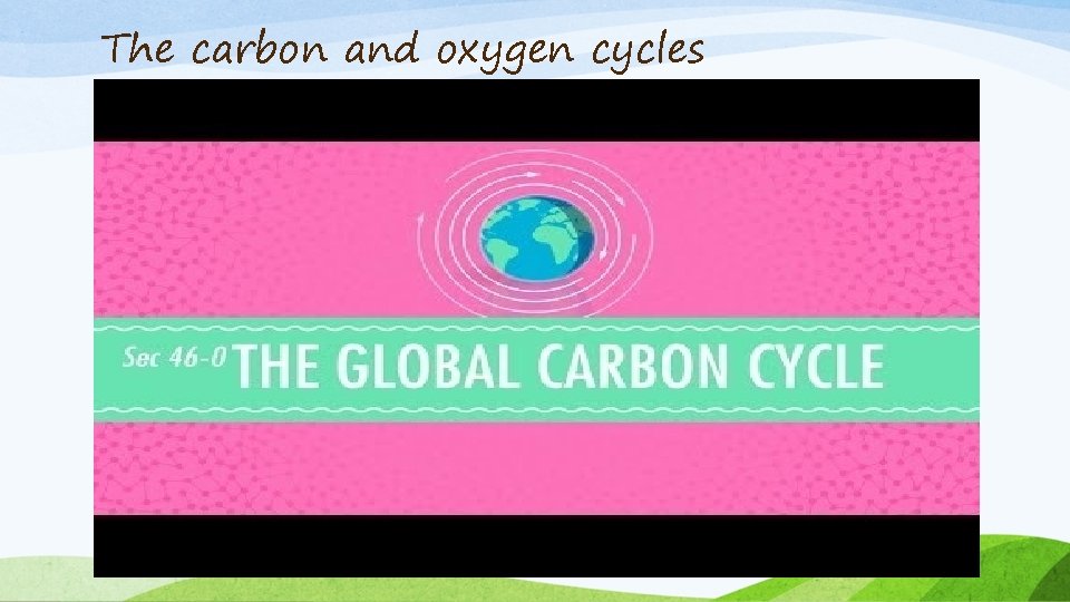 The carbon and oxygen cycles 