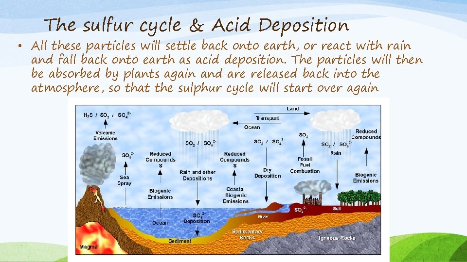 The sulfur cycle & Acid Deposition • All these particles will settle back onto