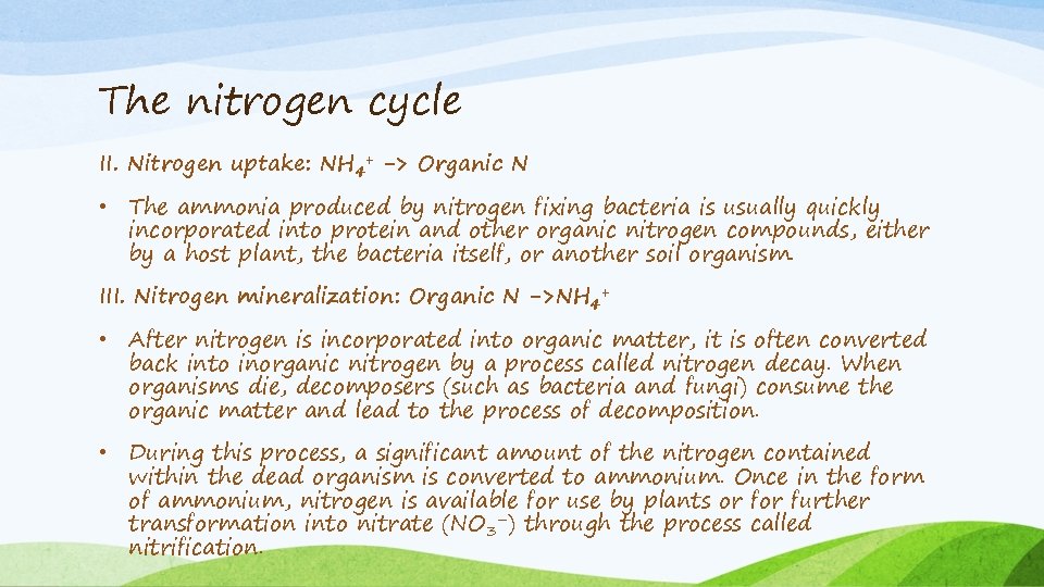 The nitrogen cycle II. Nitrogen uptake: NH 4+ -> Organic N • The ammonia