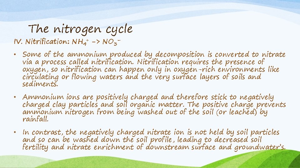 The nitrogen cycle IV. Nitrification: NH 4+ -> NO 3– • Some of the