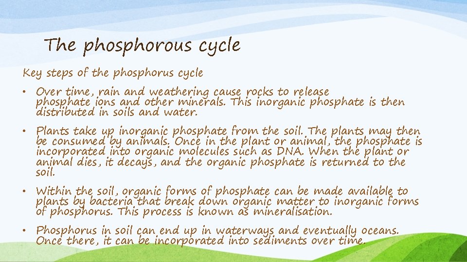The phosphorous cycle Key steps of the phosphorus cycle • Over time, rain and