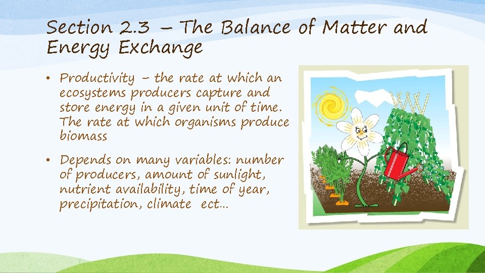Section 2. 3 – The Balance of Matter and Energy Exchange • Productivity –