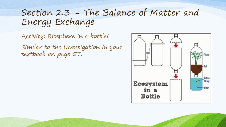 Section 2. 3 – The Balance of Matter and Energy Exchange Activity: Biosphere in