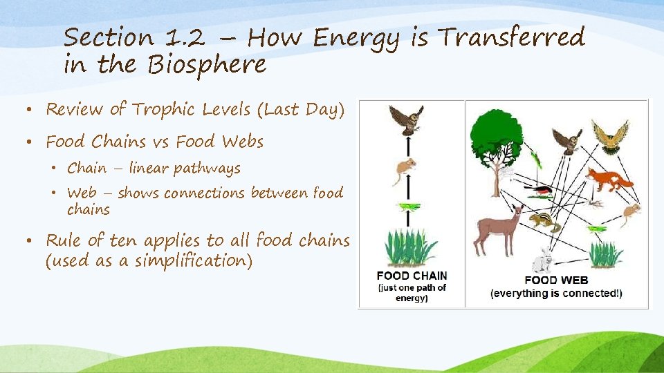 Section 1. 2 – How Energy is Transferred in the Biosphere • Review of