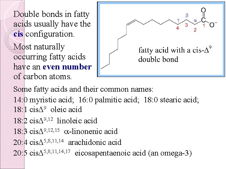 Double bonds in fatty acids usually have the cis configuration. Most naturally occurring fatty