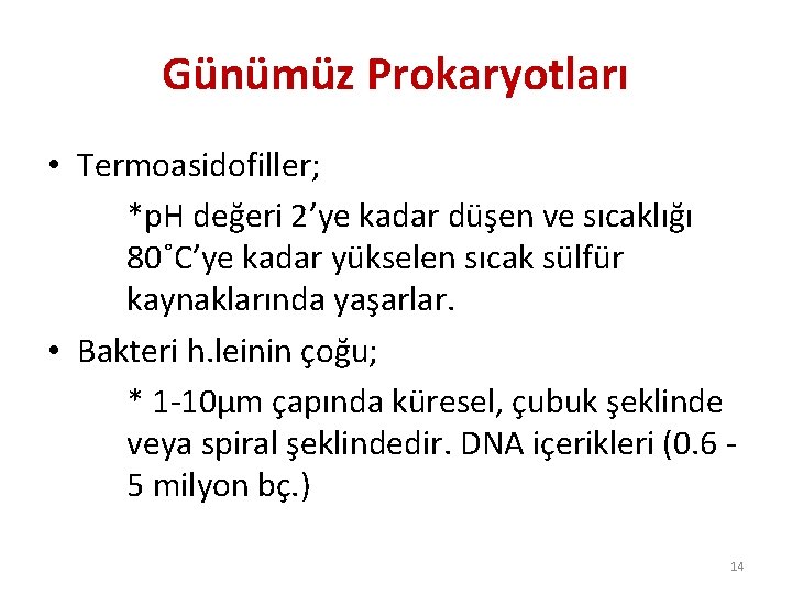 Günümüz Prokaryotları • Termoasidofiller; *p. H değeri 2’ye kadar düşen ve sıcaklığı 80˚C’ye kadar