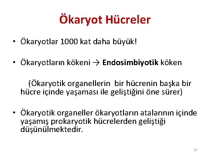 Ökaryot Hücreler • Ökaryotlar 1000 kat daha büyük! • Ökaryotların kökeni → Endosimbiyotik köken