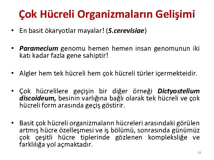 Çok Hücreli Organizmaların Gelişimi • En basit ökaryotlar mayalar! (S. cerevisiae) • Paramecium genomu