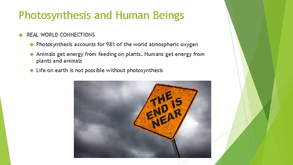 Photosynthesis and Human Beings REAL WORLD CONNECTIONS Photosynthesis accounts for 98% of the world