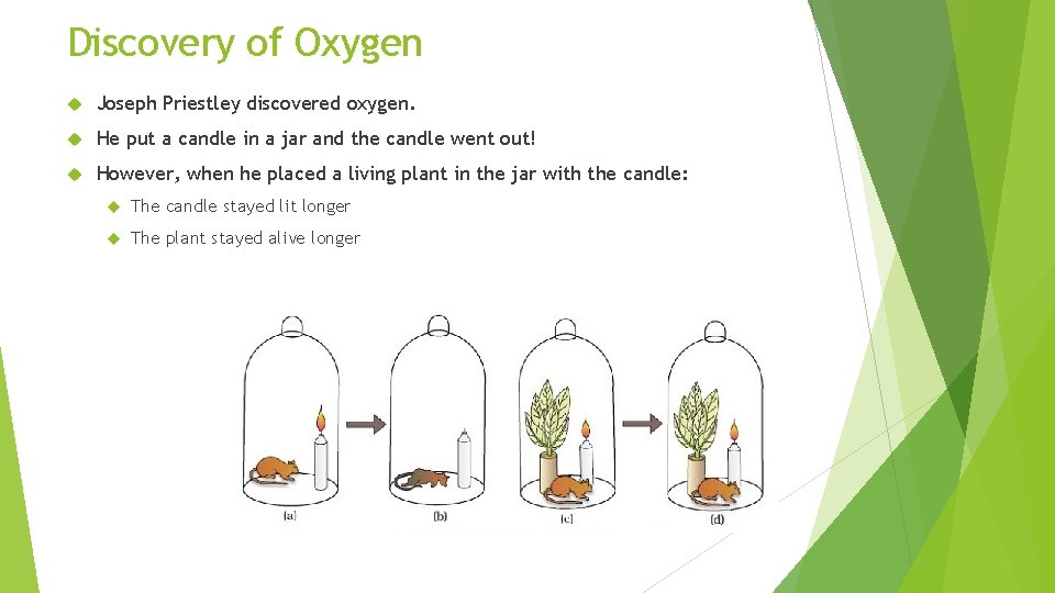 Discovery of Oxygen Joseph Priestley discovered oxygen. He put a candle in a jar