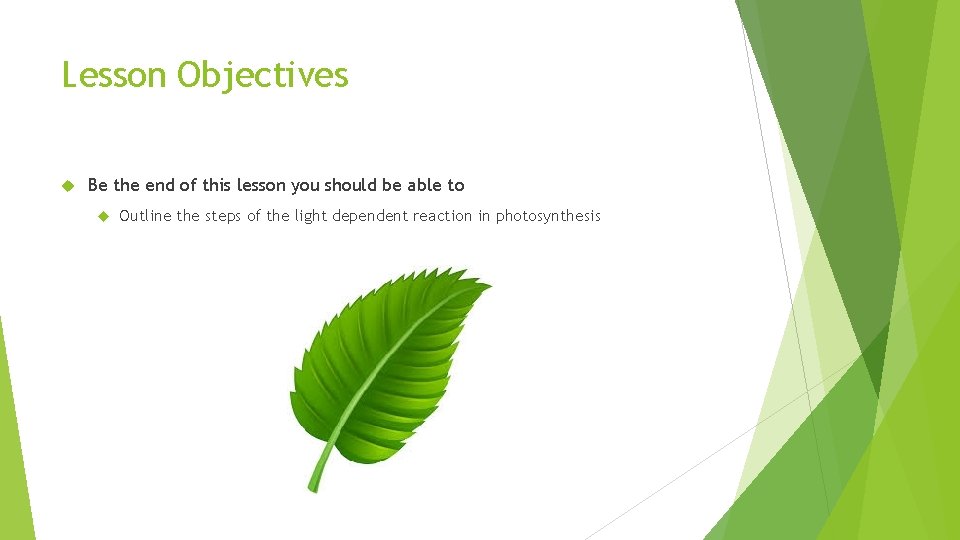 Lesson Objectives Be the end of this lesson you should be able to Outline