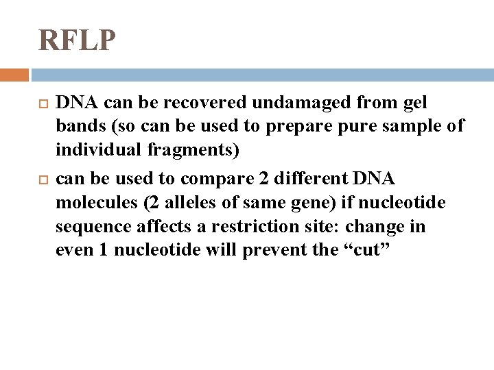 RFLP DNA can be recovered undamaged from gel bands (so can be used to