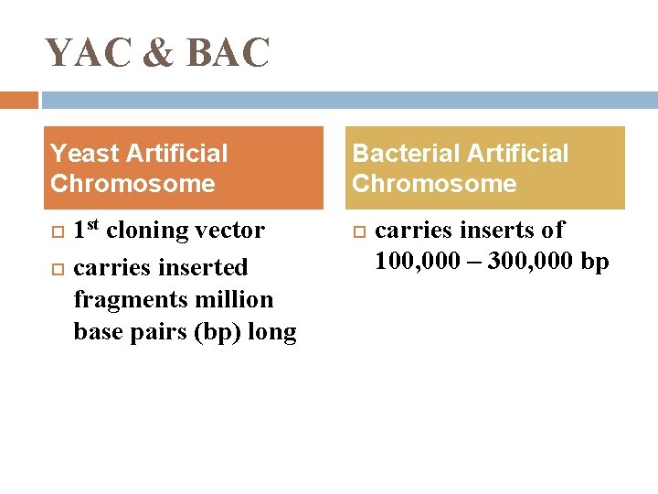 YAC & BAC Yeast Artificial Chromosome 1 st cloning vector carries inserted fragments million