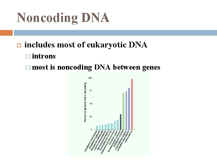 Noncoding DNA includes most of eukaryotic DNA � introns � most is noncoding DNA